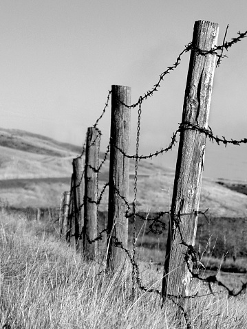 This photo was taken just outside of a modern community in Calgary, Alberta. B&W barbwire fence on farmland.