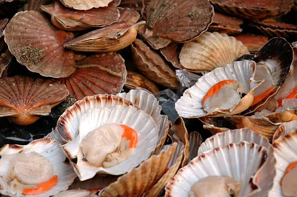 Scallops for sale at a seafood stand at the outdoor Borough Market in London, England.