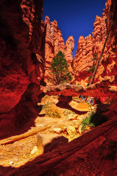 istock Tourists hiking past the Double Bridge on the Navajo Loop 1397109841