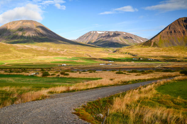 Farmland surrounded by mountains between Akureyri and Öxnadalur A gravel road on farmland surrounded by mountains between Akureyri and Öxnadalur, northern Iceland akureyri stock pictures, royalty-free photos & images