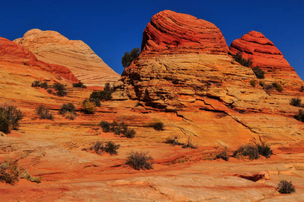 istock Sandstone buttes and teepees on the route to The Wave 1397112309