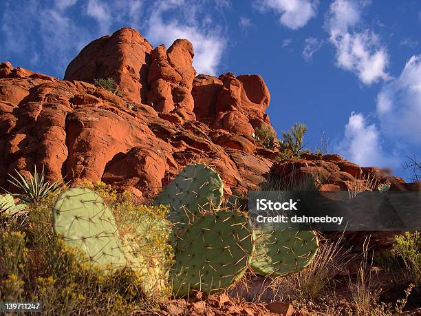 Photo libre de droit de Red Rock banque d'images et plus d'images libres de droit de Arizona - Arizona, Bleu, Cactus