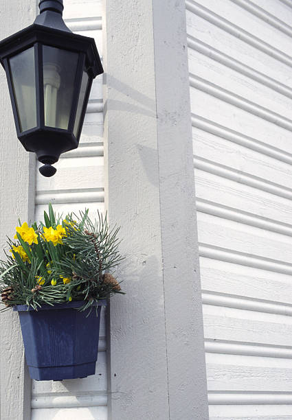 Two types of bulbs ! stock photo