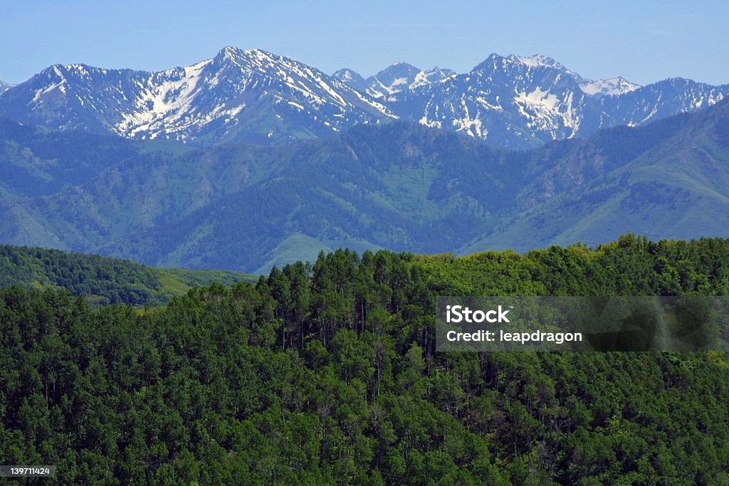 Montanhas na primavera nos EUA - Foto de stock de Blues royalty-free