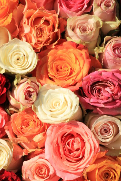 istock Mixed pink and orange bridal bouquet 1397115277