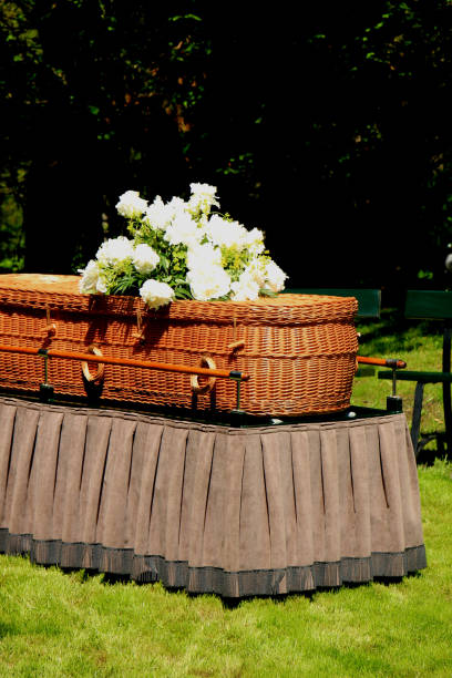 a willow casket - contemporary style - place of burial imagens e fotografias de stock