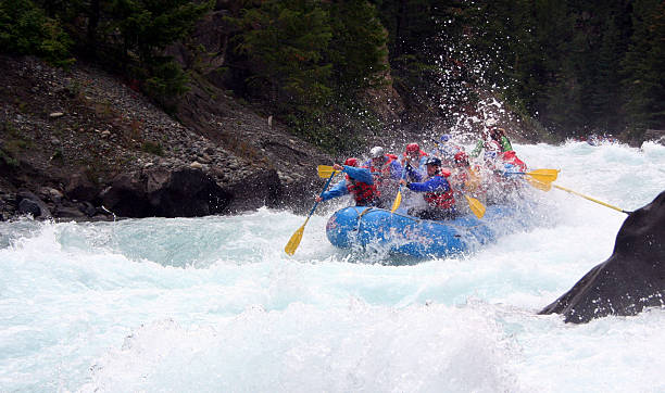 river rafting - sports team sport rowing teamwork rafting stock-fotos und bilder