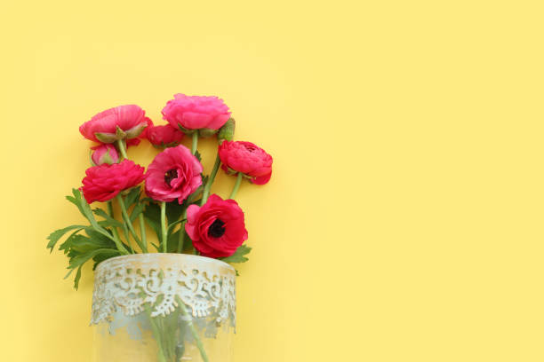 Top view image of pink flowers composition over yellow background