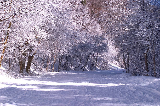 Snowy road. stock photo