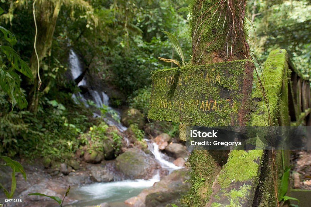 Slippery When Wet Moss covering sign in the Costa Rican jungle Coastline Stock Photo