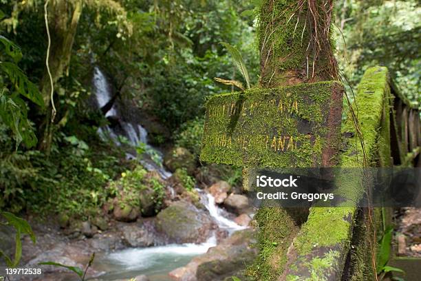 Slippery When Wet Stock Photo - Download Image Now - Coastline, Forest, Horizontal