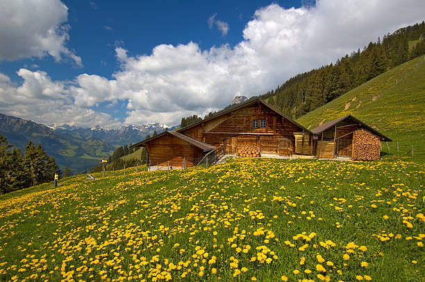 Mountain Hut in Spring stock photo