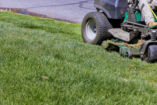 istock Mower lawnmower gardener cutting the grass 1397125891