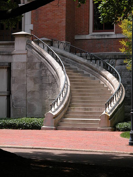 istock Stairway to higher education 139712747