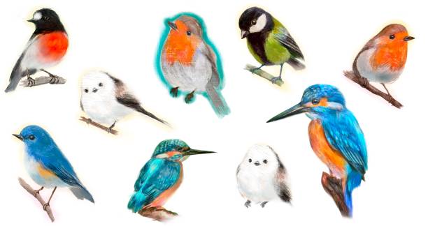 ilustrações, clipart, desenhos animados e ícones de clip art de pássaros selvagens fofos - vibrant color birds wild animals animals and pets