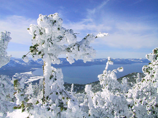Lake Tahoe View
