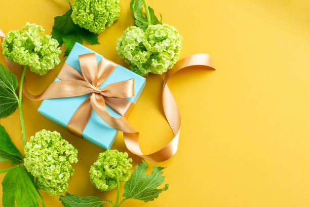 istock Image of a refreshing gift with a plain yellow background, a blue gift and a green viburnum Father's Day 1397130070