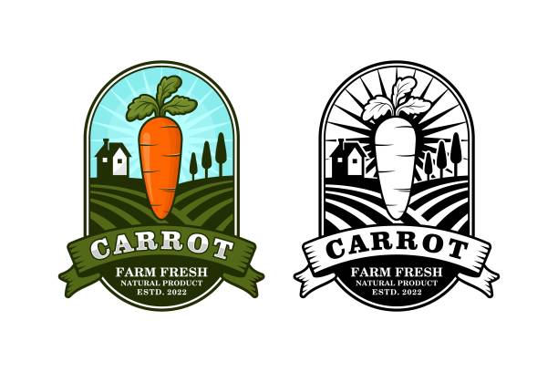 ilustraciones, imágenes clip art, dibujos animados e iconos de stock de colección de logotipos de diseño de productos naturales frescos de la granja de zanahorias - school farm