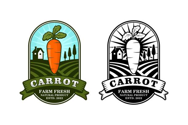 illustrazioni stock, clip art, cartoni animati e icone di tendenza di carrot farm fresco prodotto naturale design logo collezione - school farm