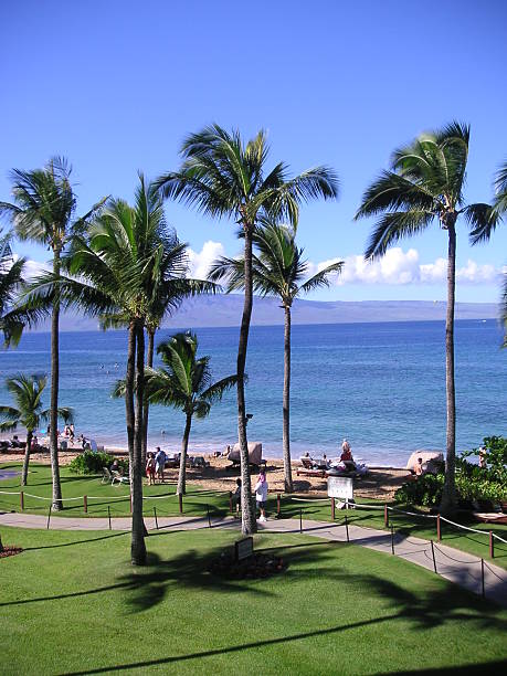 Maui Portrait of a Beach stock photo