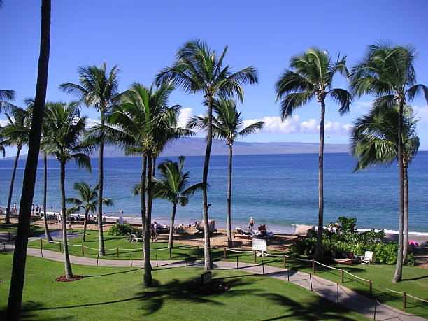 Maui Beach View stock photo
