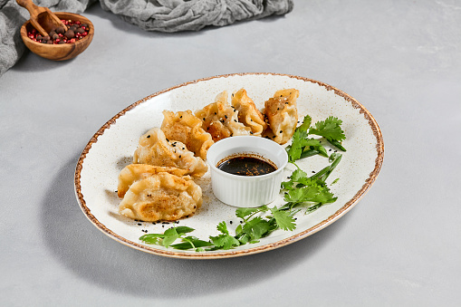 Oriental food - fried gyoza with sauce. Gyoza with pork in ceramic plate on gray concrete background.  Shrimp gyoza in minimal style. Aesthetic food menu