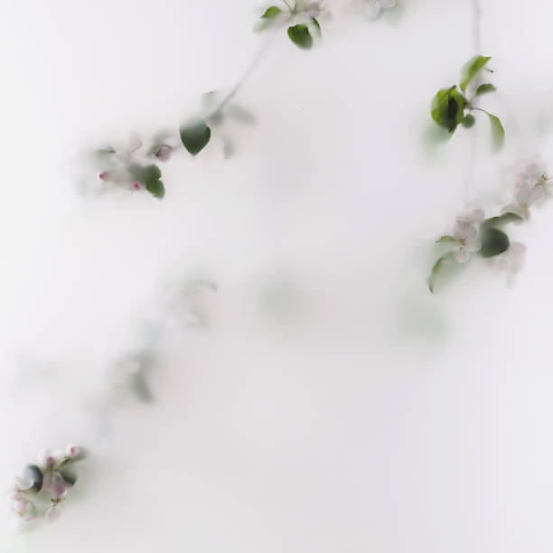 Hanging branches of an apple tree in a garden