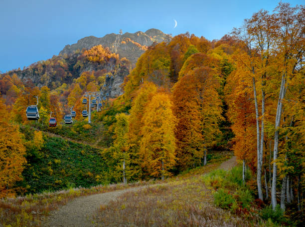 осень в горах на красной поляне (сочи, россия). разноцветные деревья в теплых тонах богато украшены в это время - сочи стоковые фото и изображения