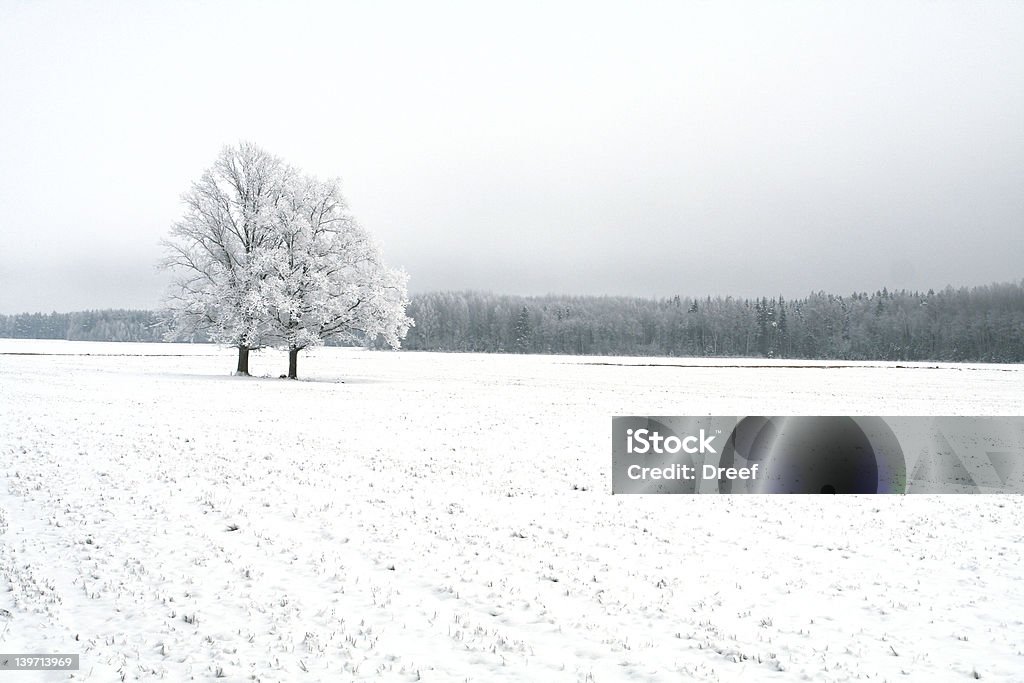 Зимний пейзаж с выражением дерево - Стоковые фото Белый роялти-фри