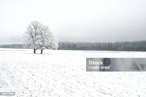Зимний Пейзаж С Выражением Дерево — стоковые фотографии и другие картинки Белый - Белый, Витать в облаках, Время года