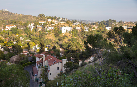 View of houses, trees and hills -Hollywood Hills community