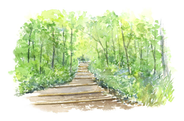 istock Watercolor illustration of stairs in the forest 1397142395