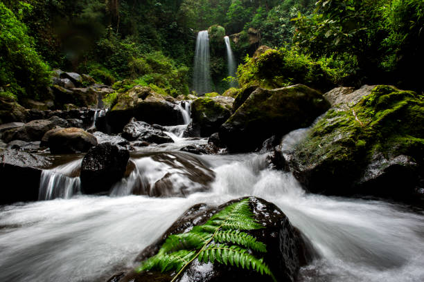 istock Twin Grenjengan Waterfalls 1397143938