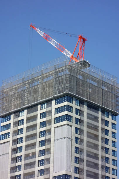 istock You can see the pattern of a large crane 1397148227
