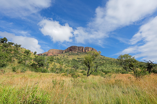 Scenic mountain and savannah landscape, Marakele National Park, South Africa