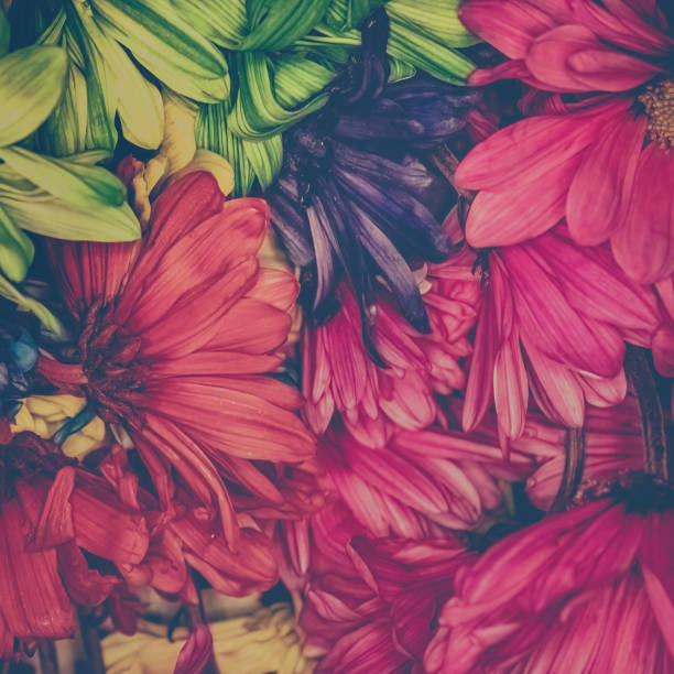 Edible flowers have huge selection of colors and flavors.