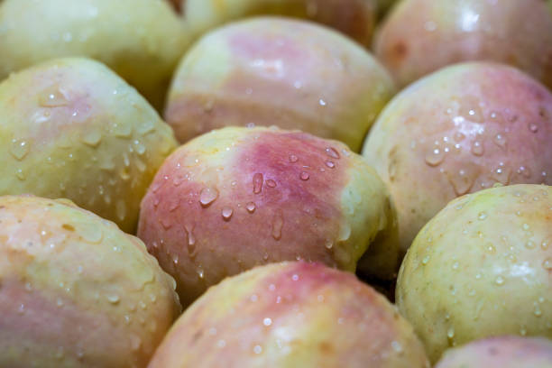 le mele gialle crude sono vendute in un mercato locale di street food sull'isola di zanzibar, tanzania, africa, da vicino - africa agriculture zanzibar industry foto e immagini stock