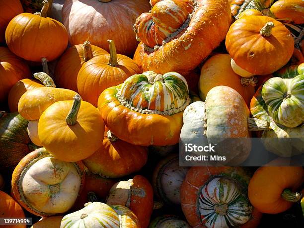 Pumpkins - Fotografie stock e altre immagini di Agricoltura - Agricoltura, Alta marea, Arancione