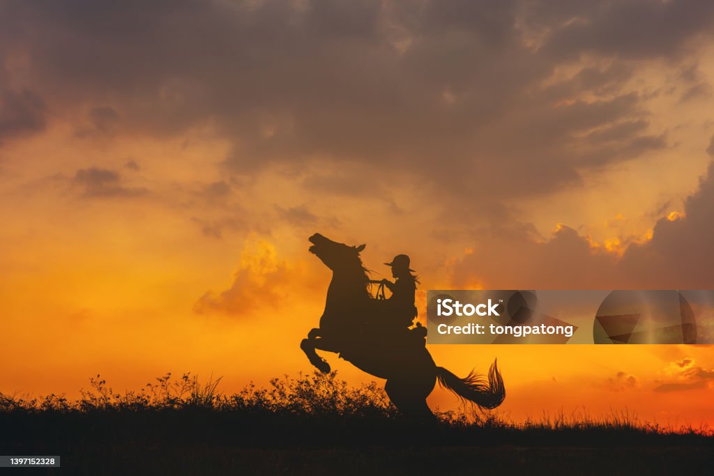 A cowboy on a horse springing up and a riding horse silhouetted against the sunset Cowboy Stock Photo