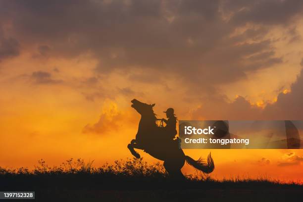 A Cowboy On A Horse Springing Up And A Riding Horse Silhouetted Against The Sunset Stock Photo - Download Image Now