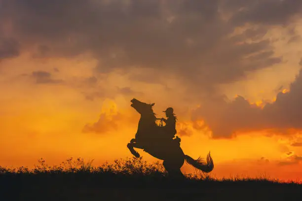 Photo of A cowboy on a horse springing up and a riding horse silhouetted against the sunset