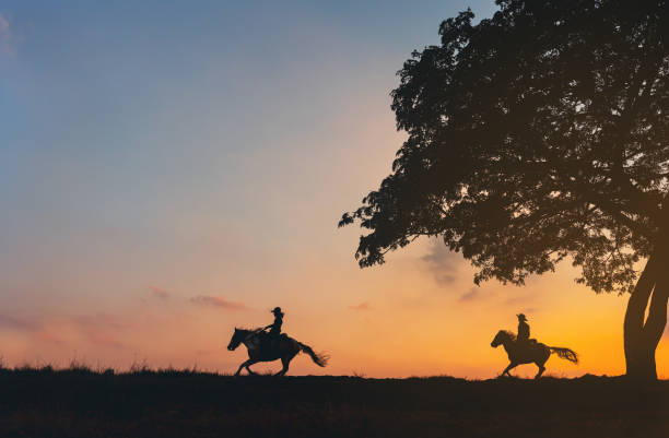 cowboy on horse silhouetted against a large tree cowboy on horse silhouetted against a large tree two cows stock pictures, royalty-free photos & images