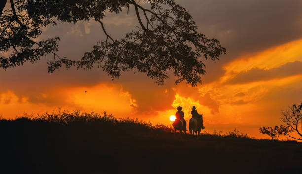 istock cowboy on horse silhouetted against a large tree 1397152351