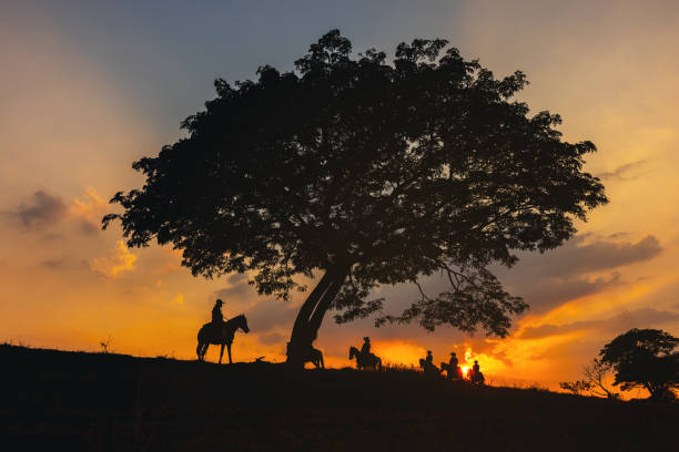 istock cowboy on horse silhouetted against a large tree 1397152356