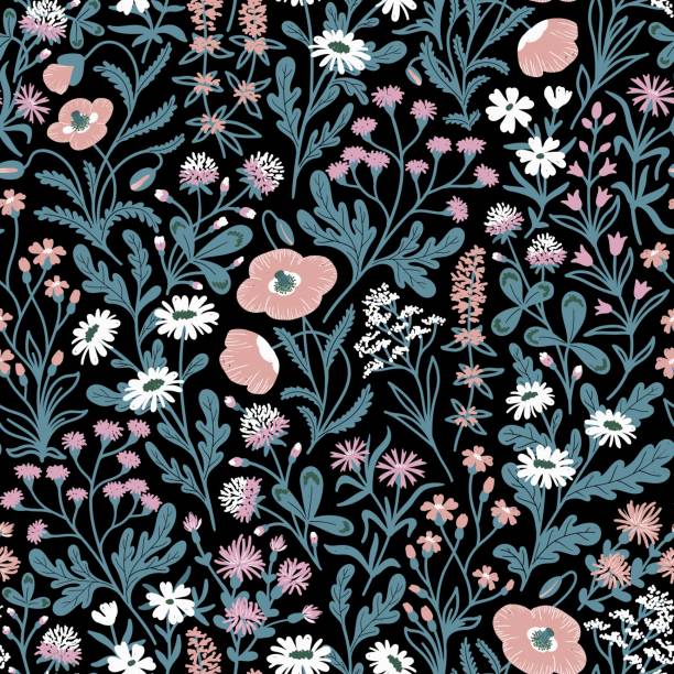 czarny wektorowy bezszwowe tło z różnymi polnymi kwiatami - lace pink white black stock illustrations