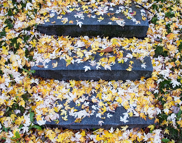 fall leaves stone steps stock photo