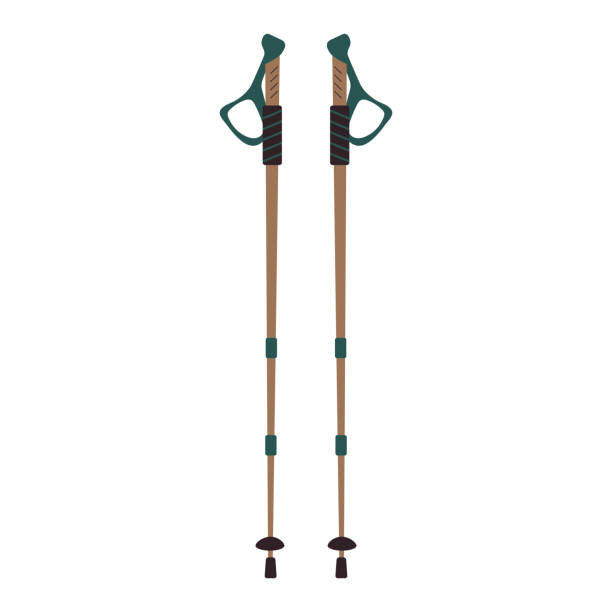 Nordic walking poles. Ski or trekking equipment. Nordic walking poles. Ski or trekking equipment. Vector illustration. nordic walking pole stock illustrations