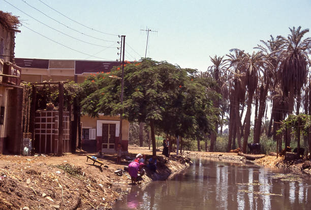 Nile Valley, Egypt - aug 6, 1991:  a woman fetches water from an irrigation canal that flows near her home in an agricultural area of the Nile Valley