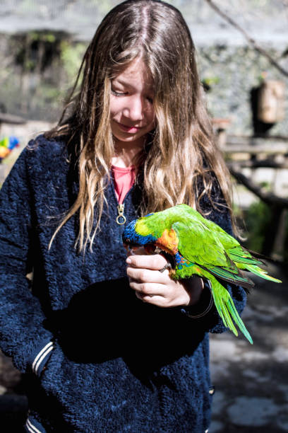 istock beautiful girl giving nectar to blue-headed Lorikeets 1397157844