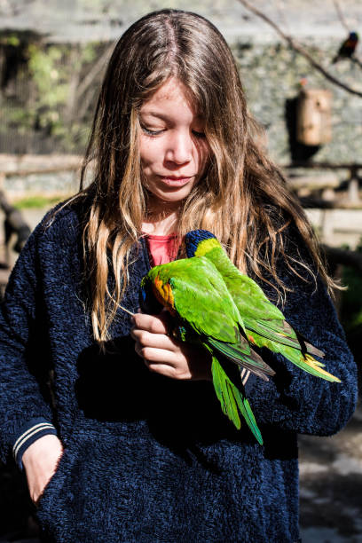 istock beautiful girl giving nectar to blue-headed Lorikeets 1397157876